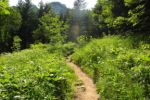 2014-07-05_Laengental-N-Hochweg (493). JPG